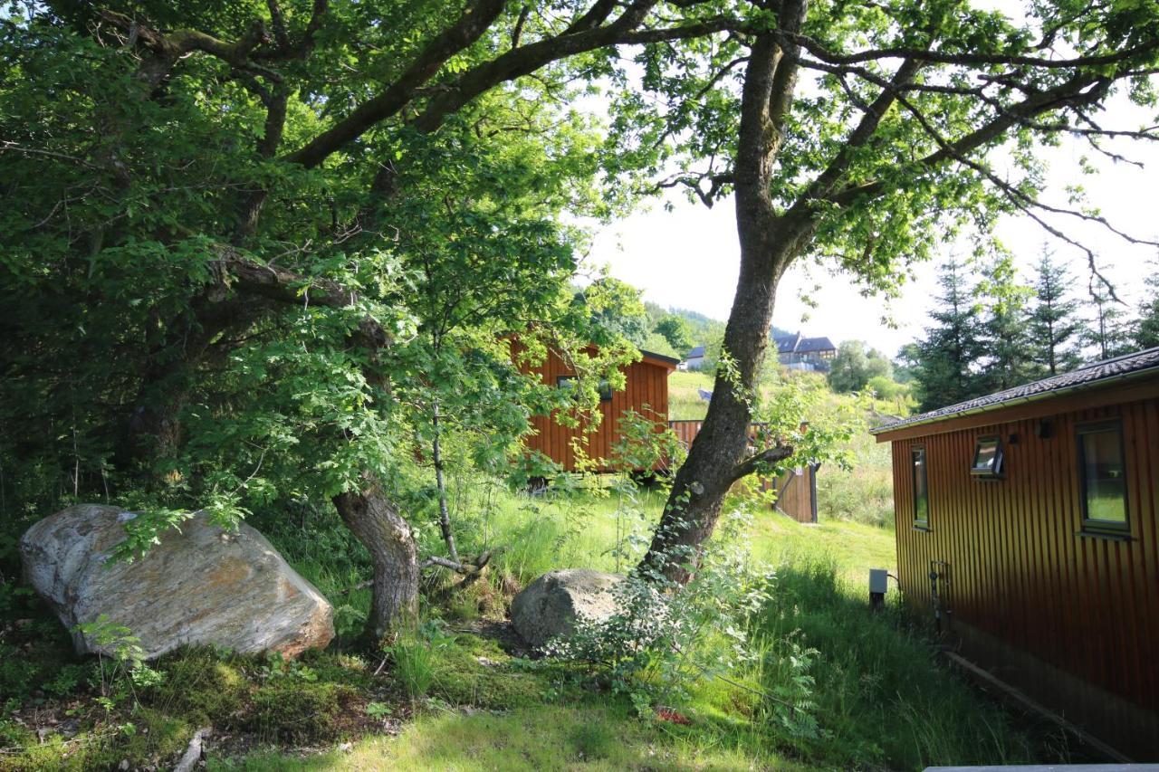 Balquhidder Braes Holiday Park Lodges, Mostly With Hot Tubs And Pet Friendly, Ev Facilities Lochearnhead Εξωτερικό φωτογραφία