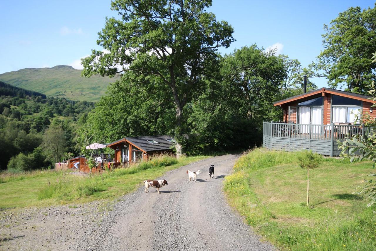 Balquhidder Braes Holiday Park Lodges, Mostly With Hot Tubs And Pet Friendly, Ev Facilities Lochearnhead Εξωτερικό φωτογραφία