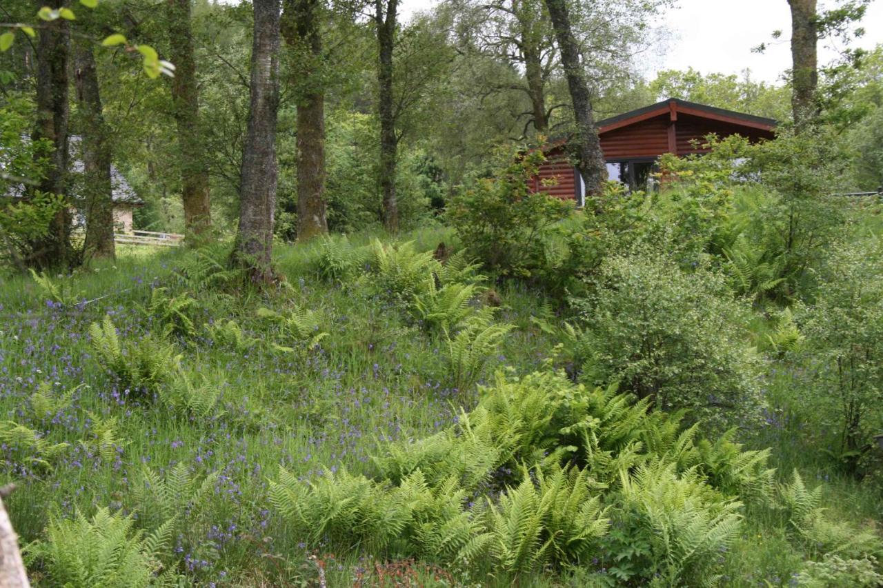 Balquhidder Braes Holiday Park Lodges, Mostly With Hot Tubs And Pet Friendly, Ev Facilities Lochearnhead Εξωτερικό φωτογραφία